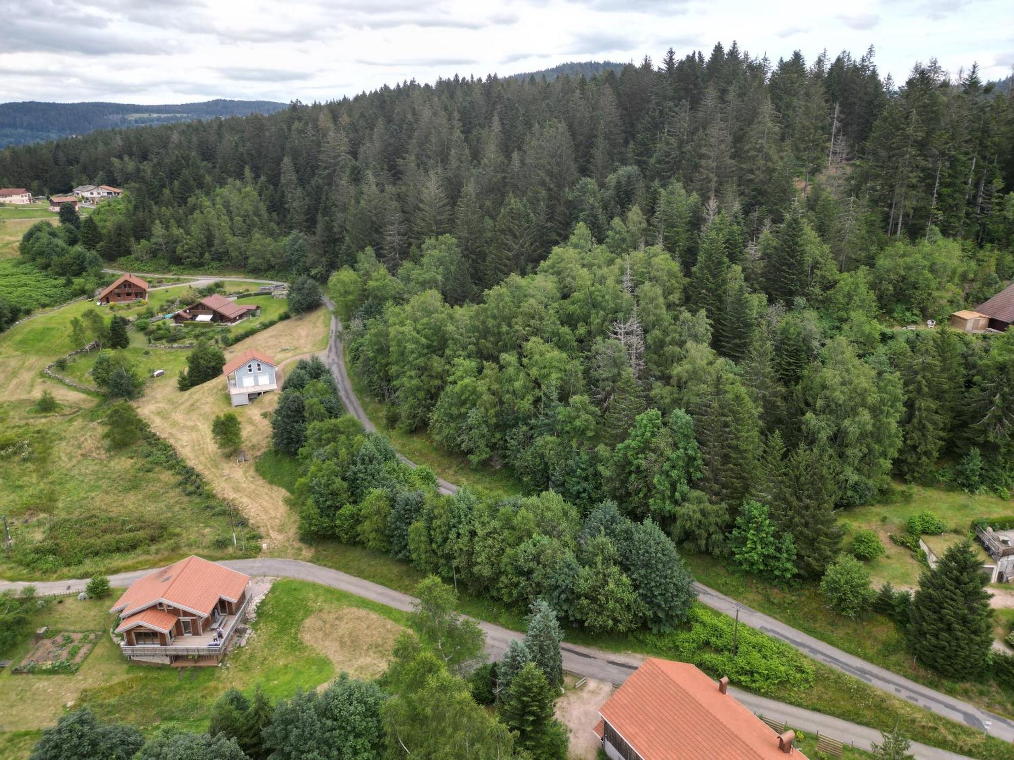 Chalet L'Appel De La Foret Gerardmer Exterior photo