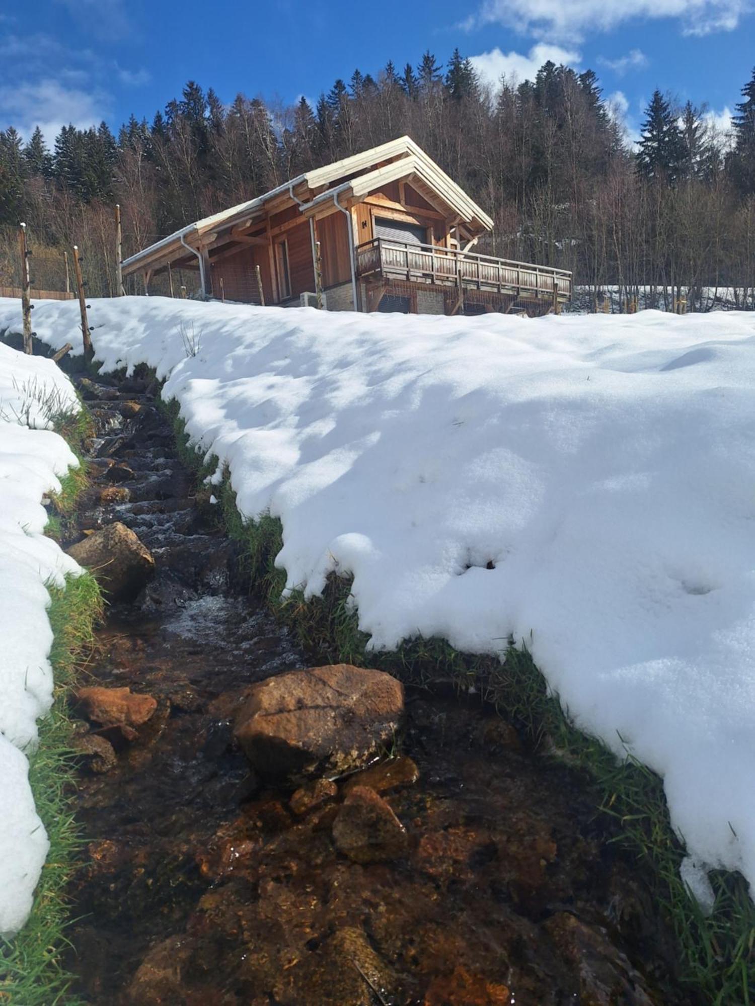 Chalet L'Appel De La Foret Gerardmer Exterior photo